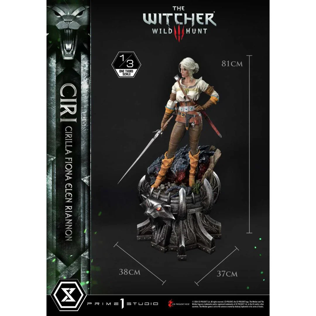 The Witcher 3: Wild Hunt Ciri Fiona Elen Riannon Bonus Version