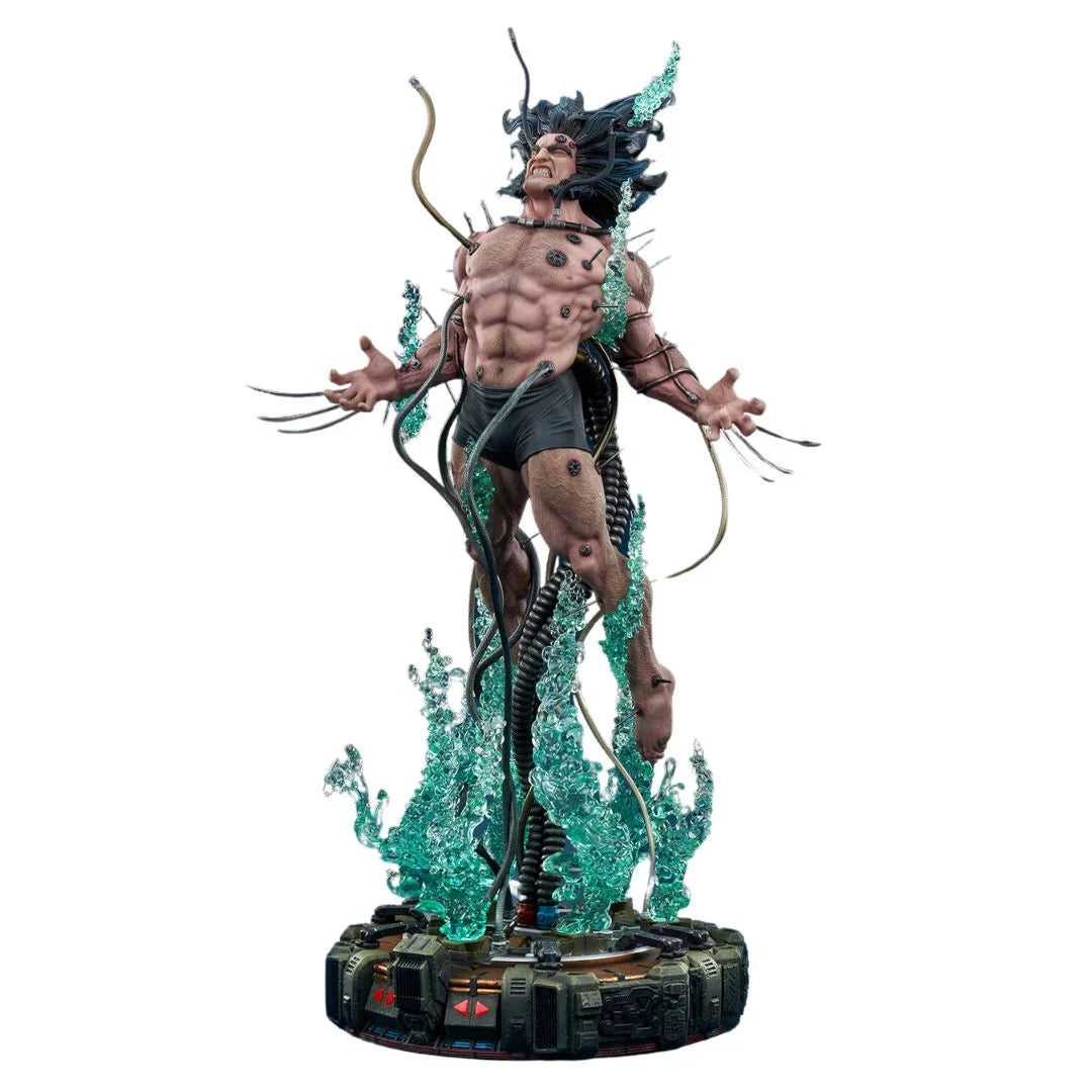 Wolverine Weapon X Premium Format