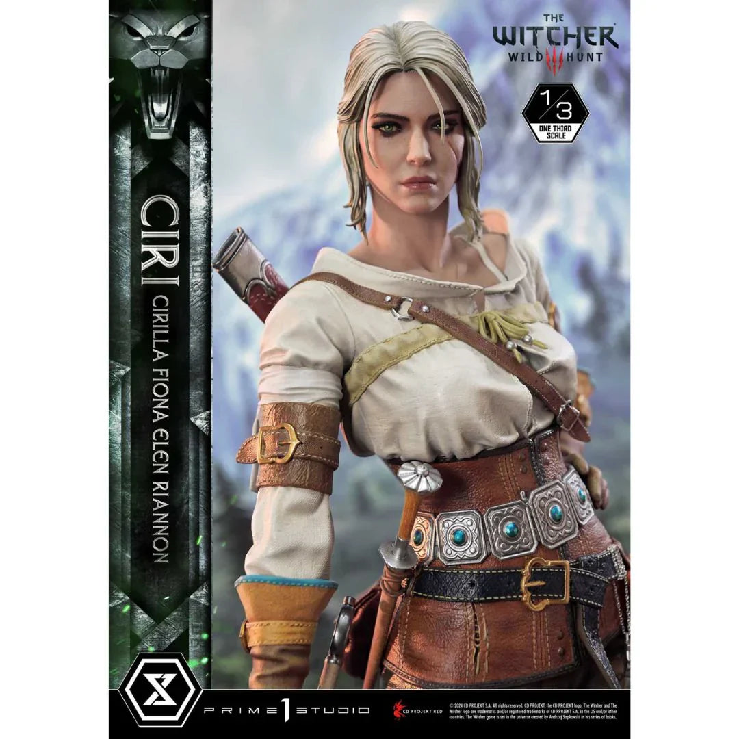 The Witcher 3: Wild Hunt Ciri Fiona Elen Riannon Bonus Version