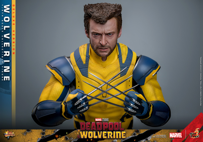 WOLVERINE (DELUXE VERSION) Sixth Scale Figure