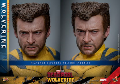 WOLVERINE (DELUXE VERSION) Sixth Scale Figure