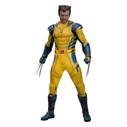 WOLVERINE (DELUXE VERSION) Sixth Scale Figure