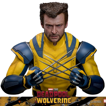WOLVERINE (DELUXE VERSION) Sixth Scale Figure